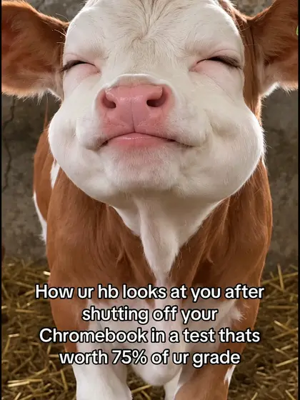 Shaking Head AI reference video by @melvdih